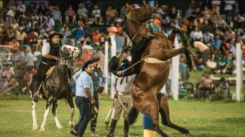 XXIII Fiesta Nacional de las Destrezas Criollas y el Folklore 2025: Un fin de semana de tradición en Rawson